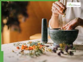 High Blood Pressure Management: 10 Medicinal Plants That Can Help Prevent Hypertension
