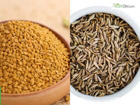 Methi Seeds Vs Jeera Seeds: Which Is Best For Hair Growth?