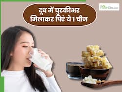 दूध में मिलाकर पी लें ये 1 चीज, गट हेल्थ से लेकर हड्डियां होंगी मजबूत