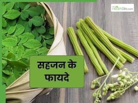 आयुर्वेद में मोरिंगा (सहजन) को क्यों बताया गया है फायदेमंद? जानें इसमें मौजूद औषधीय गुण