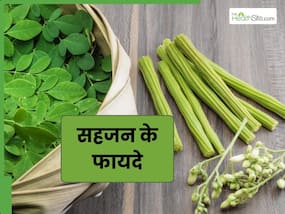 आयुर्वेद में मोरिंगा (सहजन) को क्यों बताया गया है फायदेमंद? जानें इसमें मौजूद औषधीय गुण