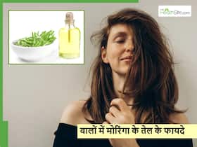 बालों में इस तरीके से करेंगे मोरिंगा तेल की मालिश तो तेजी से होगी हेयर ग्रोथ, हेयर फॉल से भी मिलेगी राहत