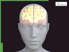 Indian Scientists Develop Nanomaterial Called g-C   N    For Treating Brain Disorder: What Is it?
