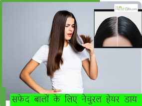 ऑलिव ऑयल से सफेद बाल काले कैसे करें? ऑलिव ऑयल में मिलाएं यह 1 पाउडर, घर पर ही रेडी हो जाएगी नेचुरल हेयर डाय