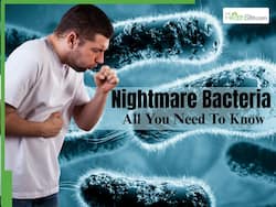 Nightmare Bacteria Outbreak in US: Could It Trigger Another Pandemic? Symptoms, Risks, and All You Need to Know