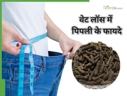 वेट लॉस के लिए फायदेमंद है पिपली, इस तरीके से करेंगे सेवन तो पिघल जाएगी पेट की चर्बी
