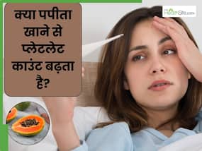 क्या पपीता खाने से प्लेटलेट्स बढ़ते हैं? एक्सपर्ट से जानें