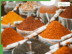 Turmeric For High Blood Pressure: 5 Powerful Benefits Of Haldi In Lowering LDL Cholesterol