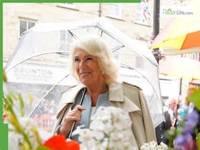 Queen Camilla Health Update: Buckingham Palace Reveals Reason Behind UK Queen's Absence At Duchess Of Kent   s Funeral