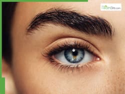 Castor Oil Vs Coconut Oil: Which Is Better For Thick Eyebrows?