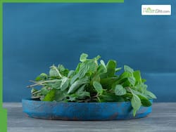 Tulsi Water For Skin: 6 Powerful Ayurvedic Benefits For Natural Glow