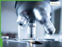 Flea-Borne Typhus Scare Returns In US State Of Texas After Almost Eradicated