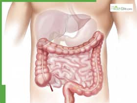 Alcoholic Fatty Liver Symptoms: 7 Warning Signs That Show Up In Your Hands Alcoholic Fatty Liver Symptoms: 7 Warning Signs That Show Up In Your Hands