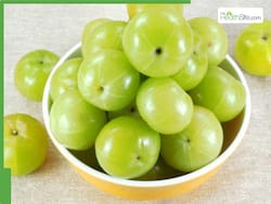 What Is the English name of Amla? Know Its Benefits