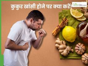 कुकुर खांसी कैसे ठीक होती है? इन 5 नुस्खों से करें काली खांसी की इलाज कुकुर खांसी कैसे ठीक होती है? इन 5 नुस्खों से करें काली खांसी की इलाज