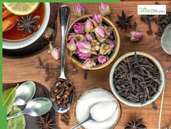 World Ayurveda Day 2025: 6 Ayurvedic Rituals That Offer Solutions To Modern Health Issues