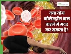क्या कोलेस्ट्रॉल को योग से ठीक किया जा सकता है? जानें कौन से योगासन करने से कम होगा हाई कोलेस्ट्रॉल