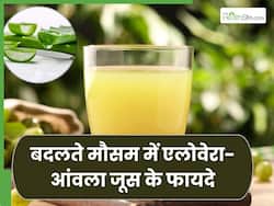 बदलते मौसम में एलोवेरा और आंवला जूस पीने से मिलेंगे ये 5 फायदे, इस तरह करें डाइट में शामिल