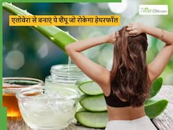 एलोवेरा में ये 2 चीजें मिलाकर घर पर बनाएं हर्बल शैंपू, हेयर फॉल रुकेगा और तेजी से बढ़ेगी ग्रोथ