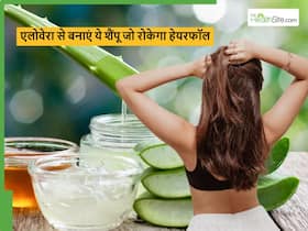 एलोवेरा में ये 2 चीजें मिलाकर घर पर बनाएं हर्बल शैंपू, हेयर फॉल रुकेगा और तेजी से बढ़ेगी ग्रोथ एलोवेरा में ये 2 चीजें मिलाकर घर पर बनाएं हर्बल शैंपू, हेयर फॉल रुकेगा और तेजी से बढ़ेगी ग्रोथ