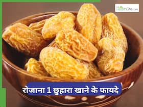 रोजाना 1 छुहारा खाने से क्या होता है, डाइट में शामिल करने से पहले जान लें इसके फायदे-नुकसान रोजाना 1 छुहारा खाने से क्या होता है, डाइट में शामिल करने से पहले जान लें इसके फायदे-नुकसान