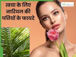 चेहरे पर नारियल की पत्तियां लगाने से दूर होंगी ये 4 समस्याएं, इस तरह से करें अप्लाई