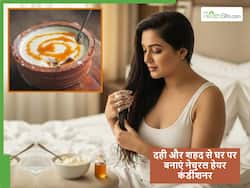 दही और शहद से घर पर बनाएं बालों का नेचुरल कंडीशनर, फायदा लेने के लिए इस्तेमाल करने का तरीका भी जानें