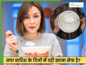 क्या बारिश के मौसम में दही खाना चाहिए? जानें क्या करना है सही