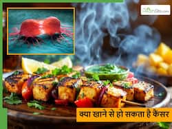 अक्सर खाए जाने वाले ये फूड्स भी बन सकते हैं कैंसर का कारण, टेस्टी समझकर खा रहे तो हो जाएं सावधान