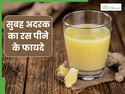 रोज सुबह अदरक का रस पीने से क्या होता है? जानें 4 फायदे और सेवन का तरीका