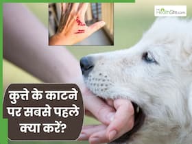 कुत्ते के काटने पर सबसे पहले क्या करना चाहिए? जानें रेबीज से बचने के लिए जरूरी टिप्स