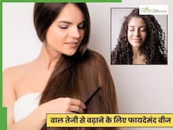 मेथी से लेकर कलौंजी तक, जानें कौन सा बीज खाने व लगाने से बढ़ते हैं बाल