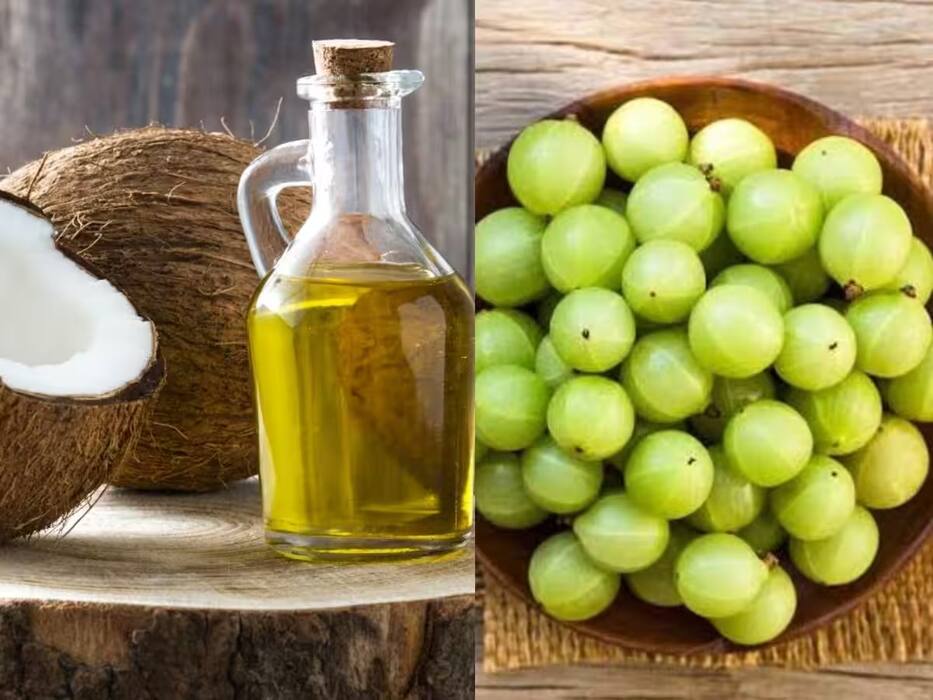नारियल तेल में क्या मिलाकर लगाने से काले होने लगते हैं बाल? मजबूती बढ़ेगी और हेयर फॉल भी होगा कम
