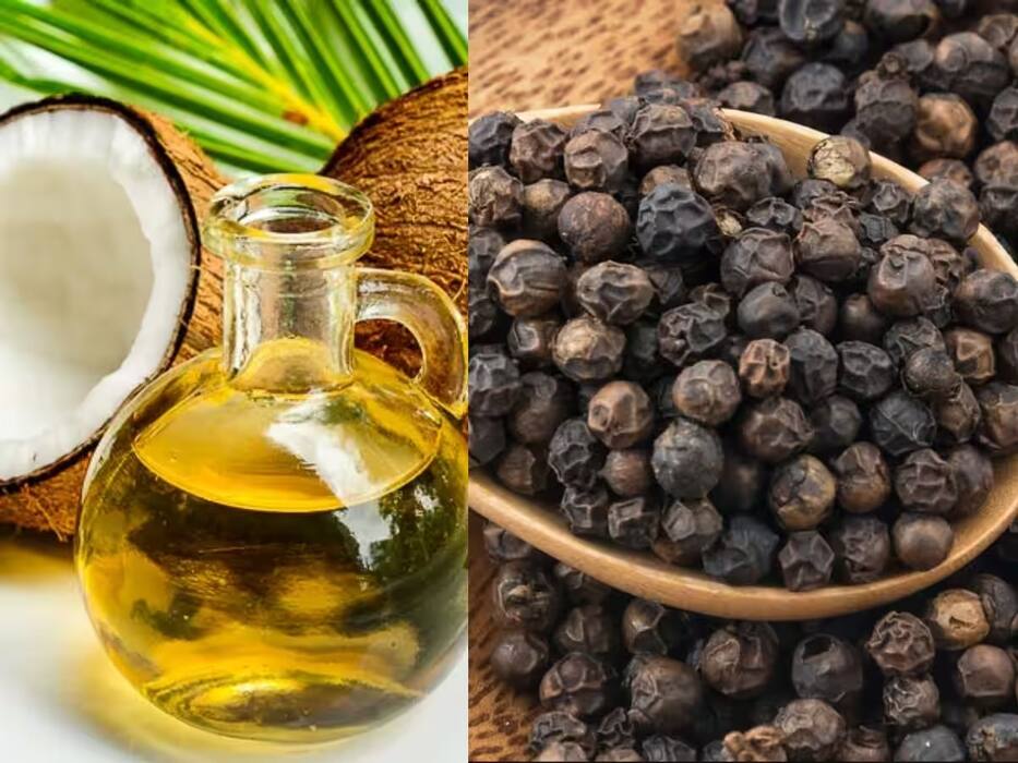 नारियल तेल में क्या मिलाकर लगाने से काले होने लगते हैं बाल? मजबूती बढ़ेगी और हेयर फॉल भी होगा कम