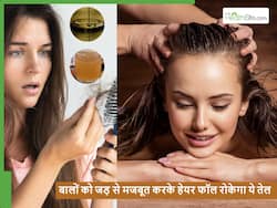 जड़ से मजबूत होंगे तो नहीं टूटेंगे बाल, ये 5 तेल जिनकी मालिश से मजबूत होंगे बाल और कंट्रोल होगा हेयर फॉल