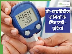 प्री-डायबिटीज रोगी इन 5 जड़ी बूटियों का करें सेवन, ब्लड शुगर लेवल होगा कंट्रोल