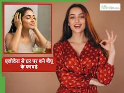 आप घर पर भी बना सकते हैं एलोवेरा से शैंपू, पूरी तरह से ये नेचुरल शैंपू बालों को देगा कई फायदे