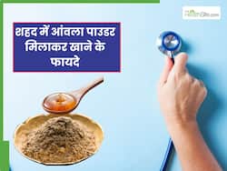 आंवला पाउडर और शहद मिलाकर खाने से क्या होता है?, जानें 3 कमाल के फायदे