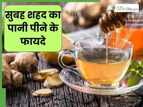 रोज सुबह जरूर पिएं शहद का पानी, सेहत को मिलेंगे कई जबरदस्त फायदे