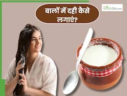 बालों के लिए दही में क्या मिलाकर लगाएं? जानें 5 चीजें, जिनसे बालों पर आएगी चमक