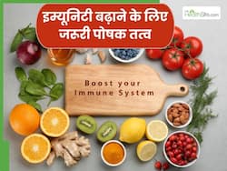 सिर्फ विटामिन सी नहीं इम्यूनिटी बढ़ाने के लिए ये 5 पोषक तत्व भी होते हैं जरूरी, जानें इनके सोर्स
