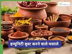 सर्दियां शुरू होने से पहले डाइट में शामिल करें ये 5 मसाले, बूस्ट होगी इम्यूनिटी