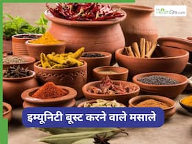 सर्दियां शुरू होने से पहले डाइट में शामिल करें ये 5 मसाले, बूस्ट होगी इम्यूनिटी