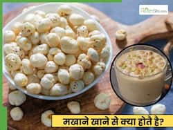 दूध में मखाना भिगोकर खाने के क्या फायदे हैं? जानें लाभ ही लाभ