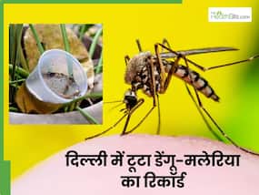 दिल्ली में तेजी से बढ़ रहे हैं डेंगू-मलेरिया के मामले, तोड़ा 5 सालों का रिकॉर्ड