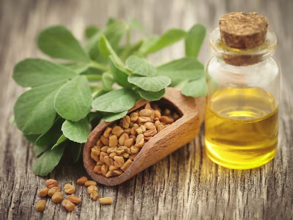 सरसों के तेल में मेथी दाना पका कर बालों में लगाने से कंट्रोल होगा हेयर फॉल और साथ में मिलेंगे कई फायदे