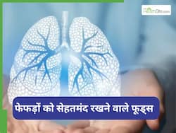 World Lung Day 2025: फेफड़े को स्वस्थ रखने के लिए खाएं ये 7 फूड्स, बीमारियां भी रहेंगी कोसों दूर