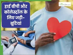 हाई बीपी और कोलेस्ट्रॉल को कम करेंगे ये 5 आयुर्वेदिक टिप्स, सभी लोग कर सकते हैं फॉलो