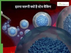 क्या है स्टेम सेल बैंकिंग और जानलेवा बीमारियों के बचाव में इसकी महत्वपूर्ण भूमिका क्यों है?