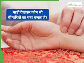World Ayurveda Day 2025: नाड़ी पकड़कर कौन-कौन सी बीमारियों का पता चलता है? जानें आयुर्वेदाचार्य से